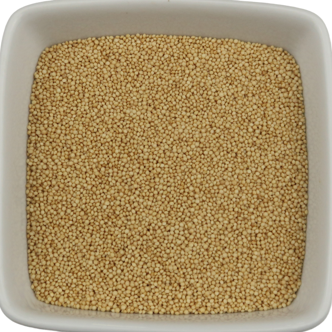 Amaranth Seeds - Amaranthus