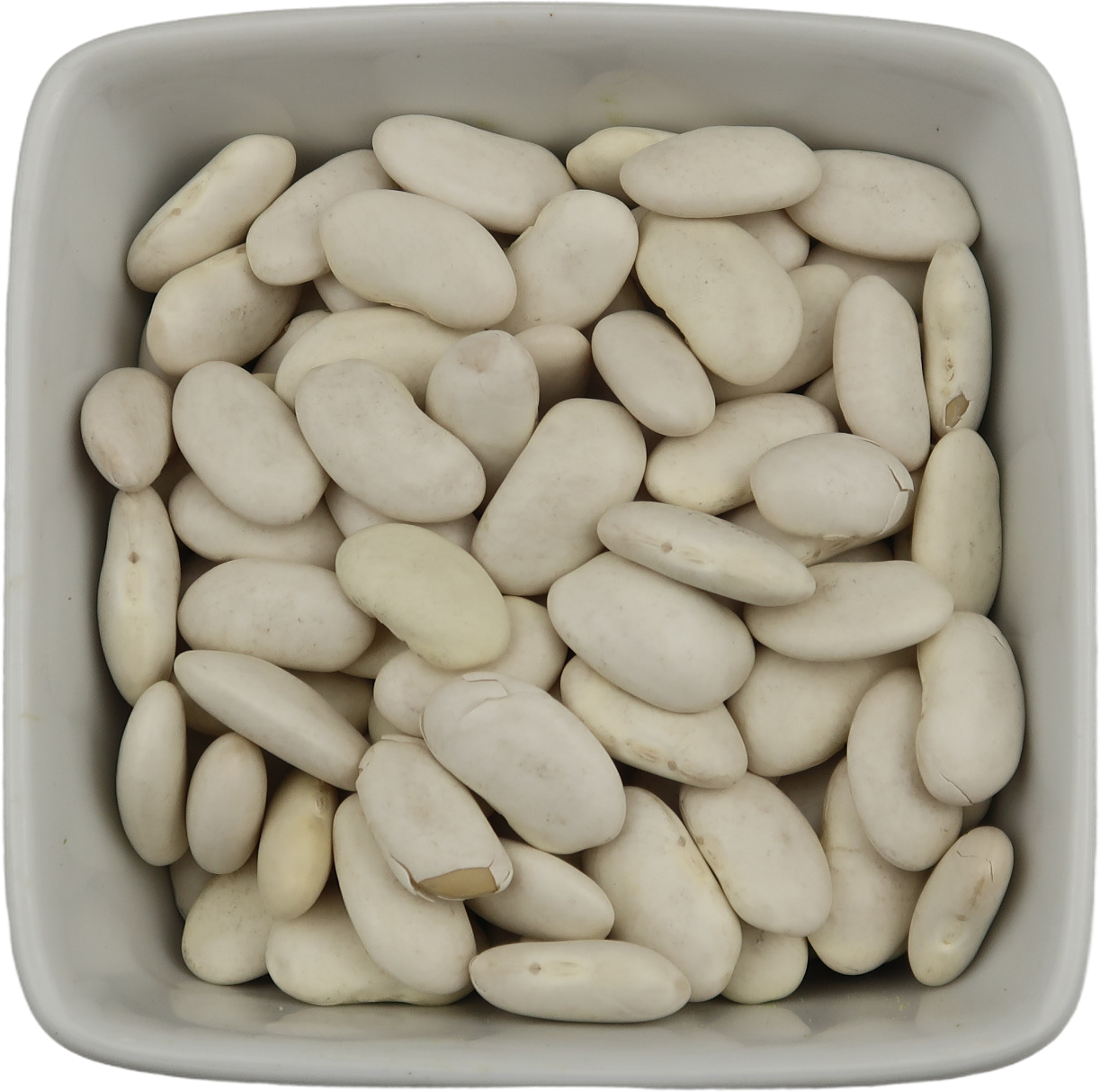 Cannellini Beans - Phaseolus Vulgaris