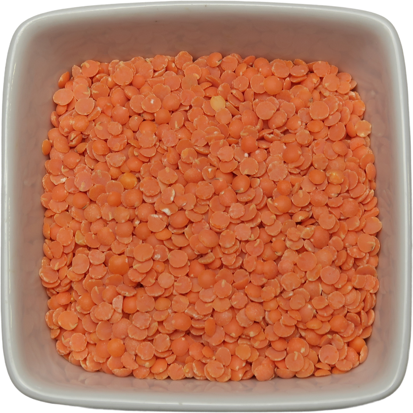Red Split Lentils - Lens Culinaris