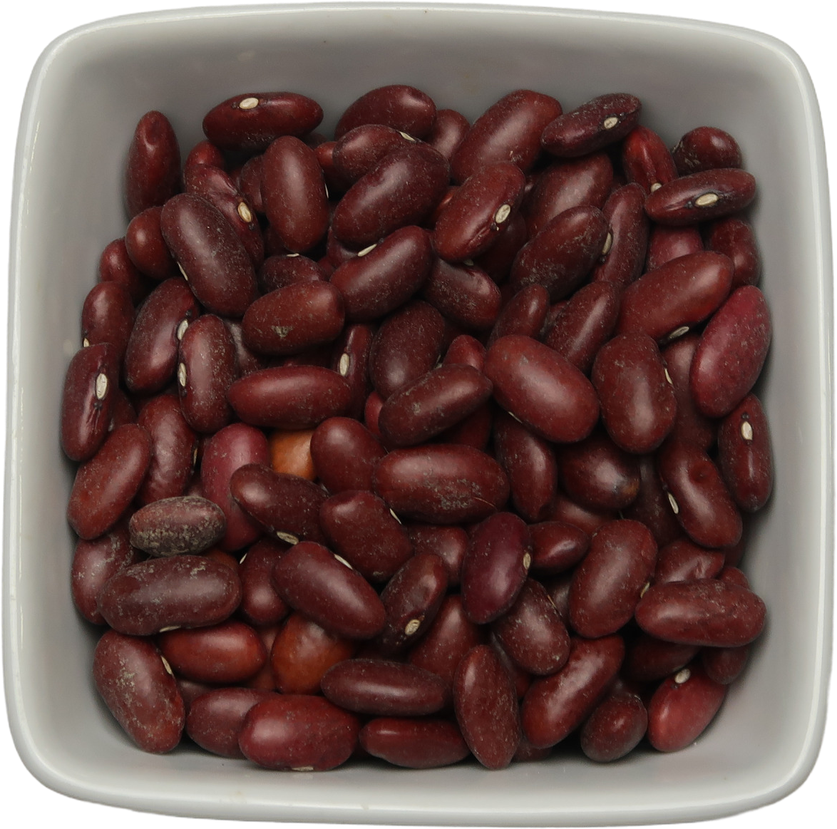 Dark Red Kidney Beans - Phaseolus Vulgaris