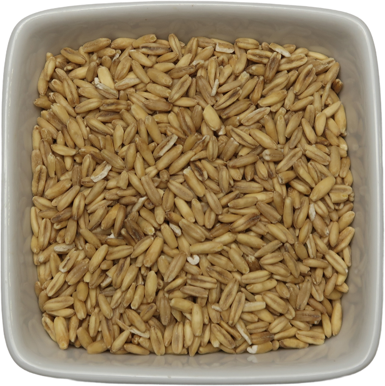 Grain Oat Groats - Avena Sativa
