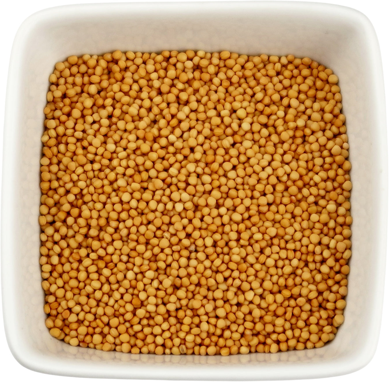 Mustard Seeds Yellow - Sinapis alba