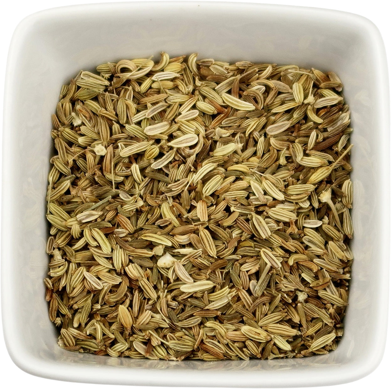 Fennel Seed - Foeniculum vulgare