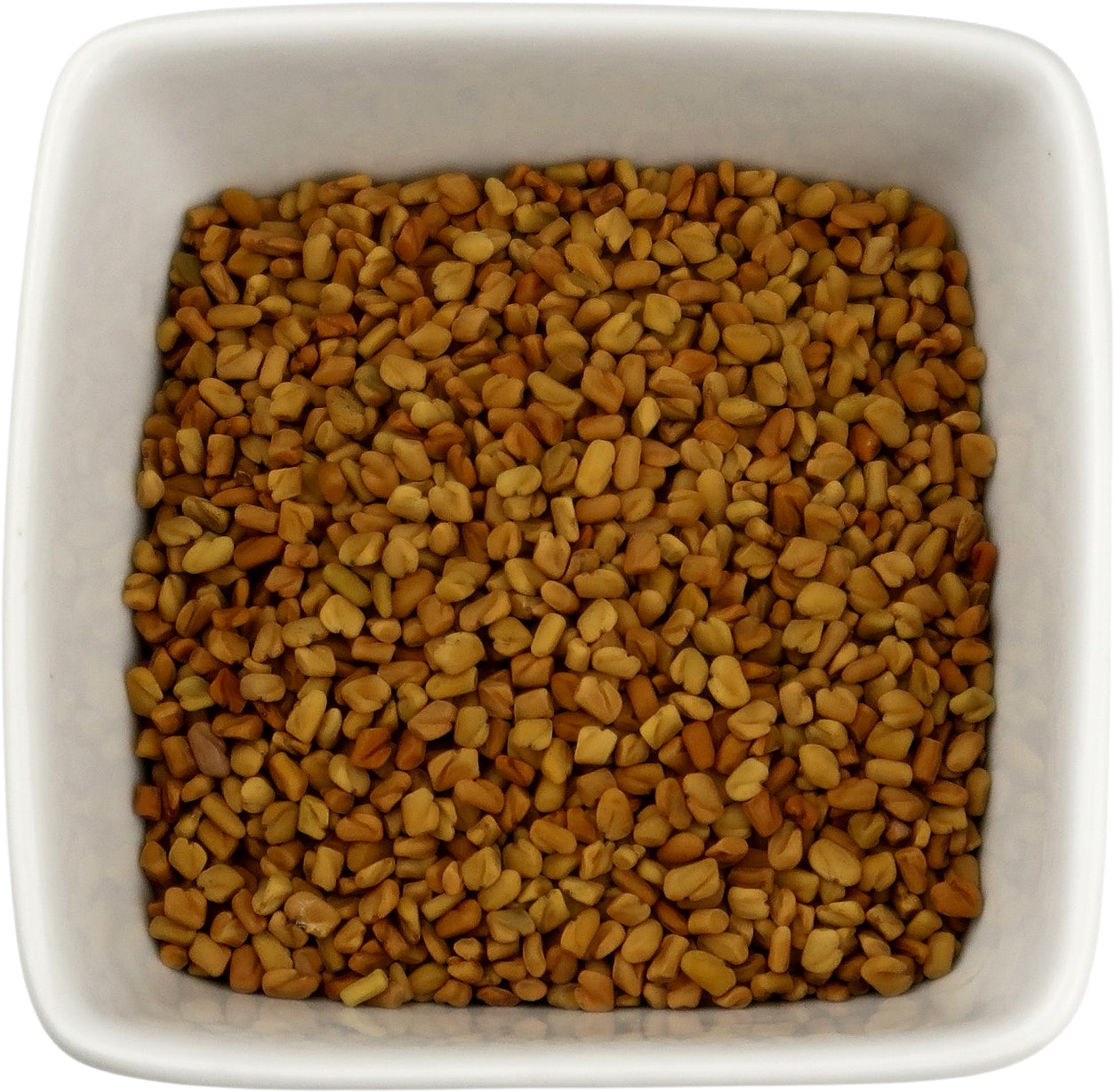 Fenugreek Seed - Trigonella foenum graecum