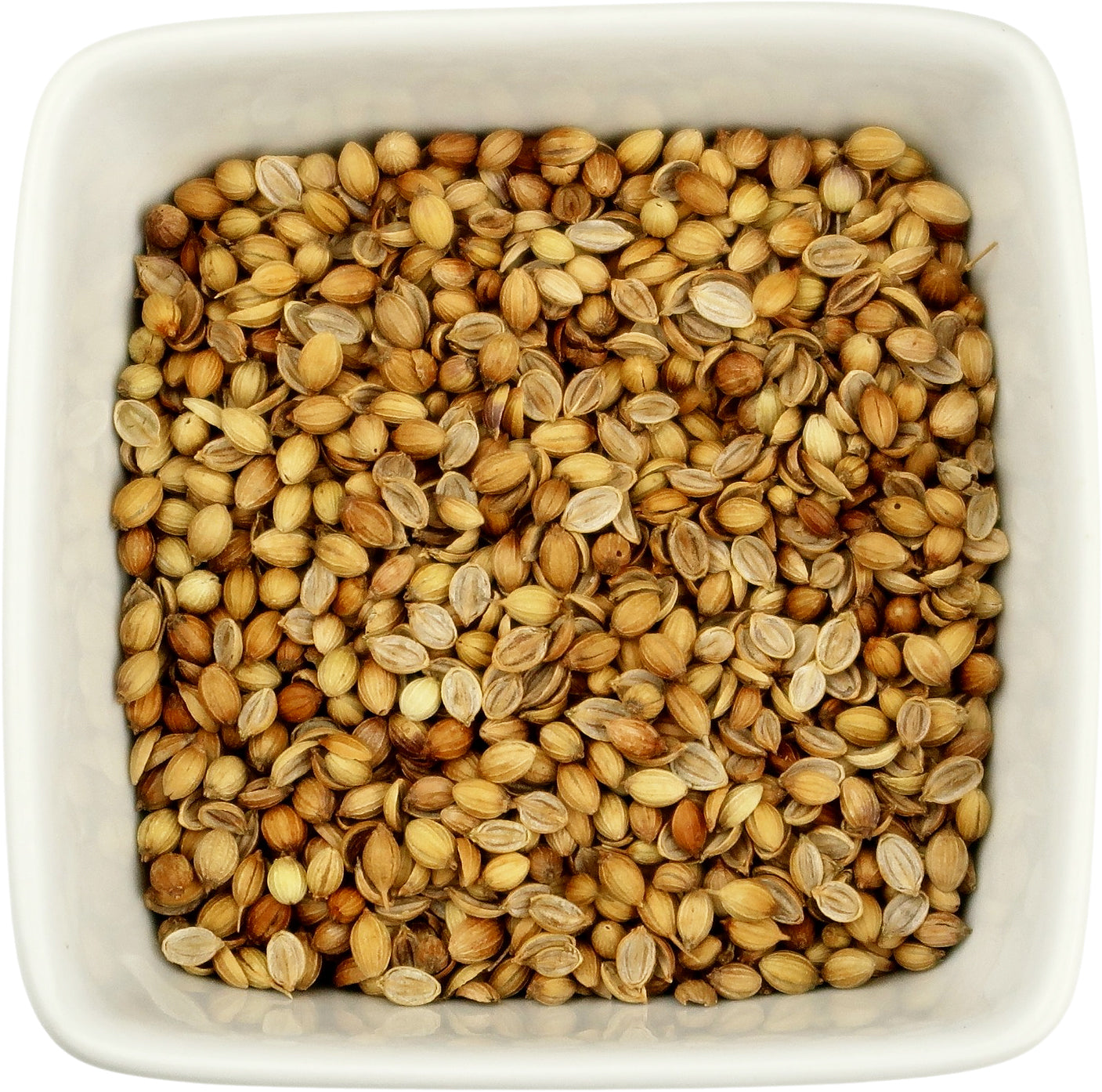 Coriander Seed Whole - Coriandrum sativum