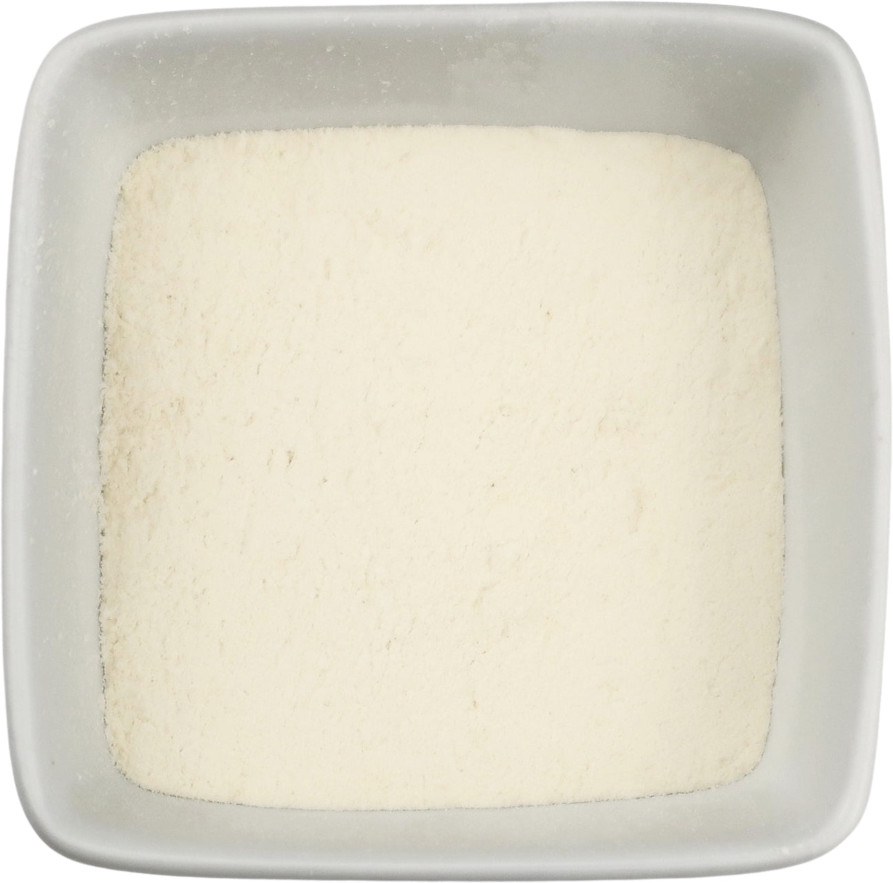 Onion Powder - Allium cepa