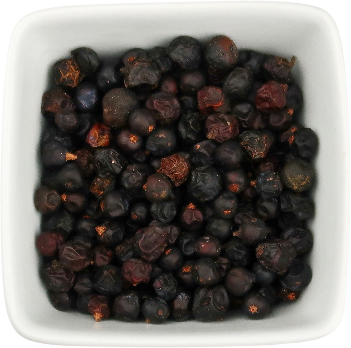 Juniper Berries- Juniperus communis