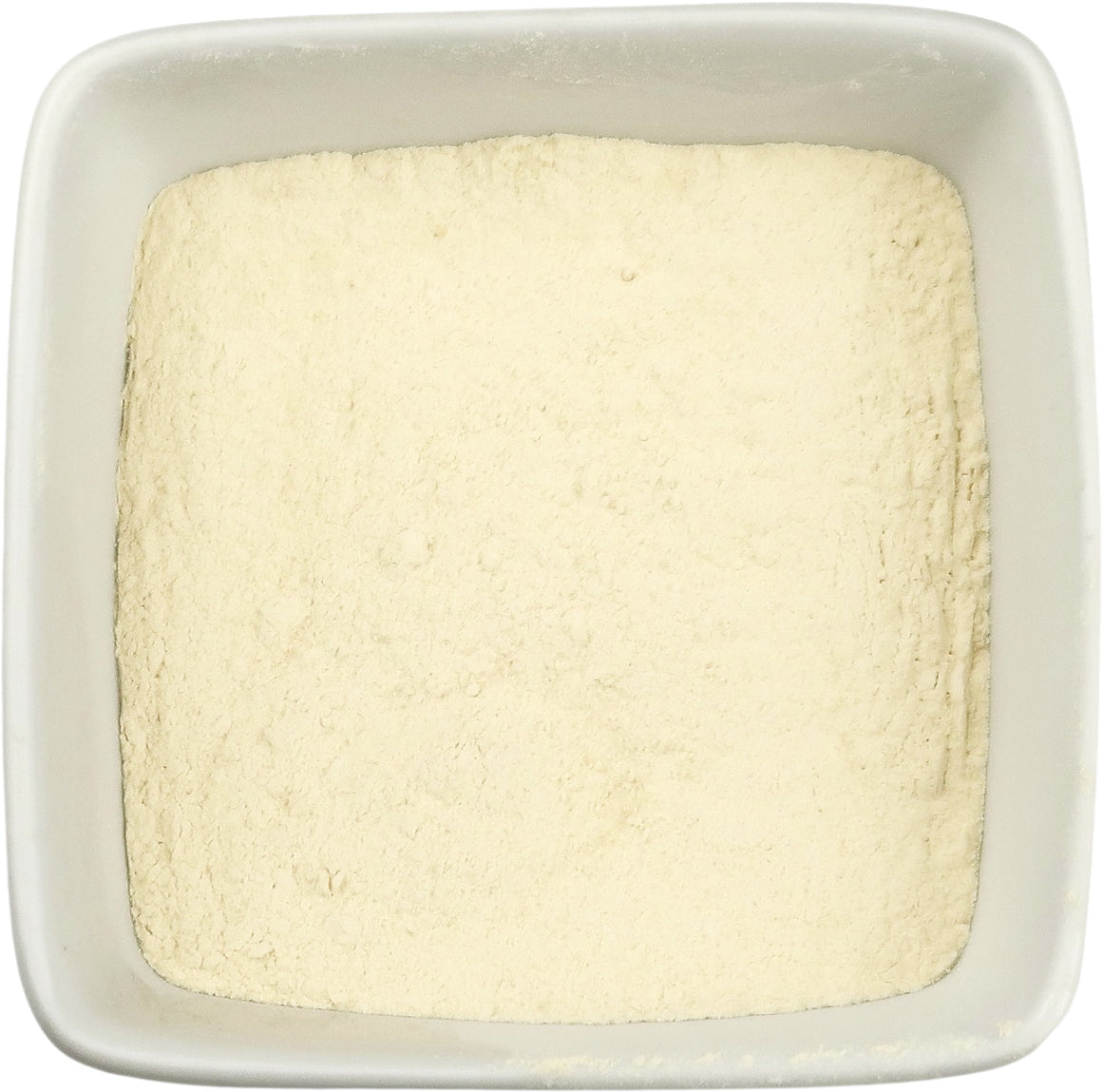 Garlic Powder - Allium sativum