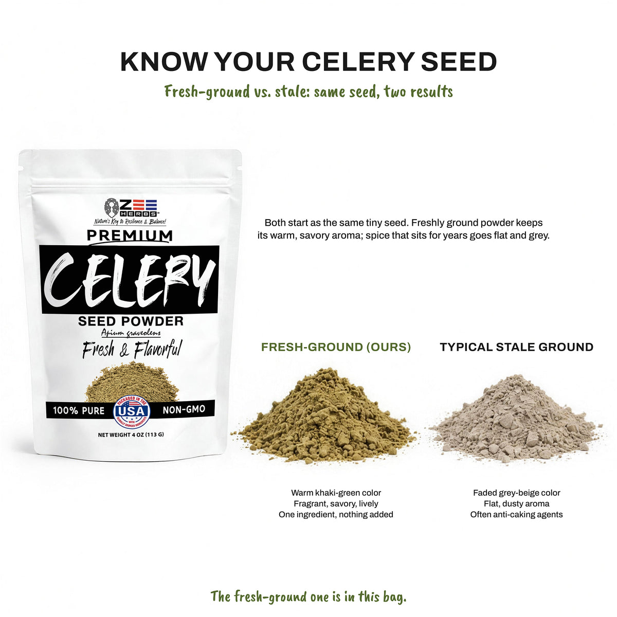 Celery Seed Powder - Apium graveolens