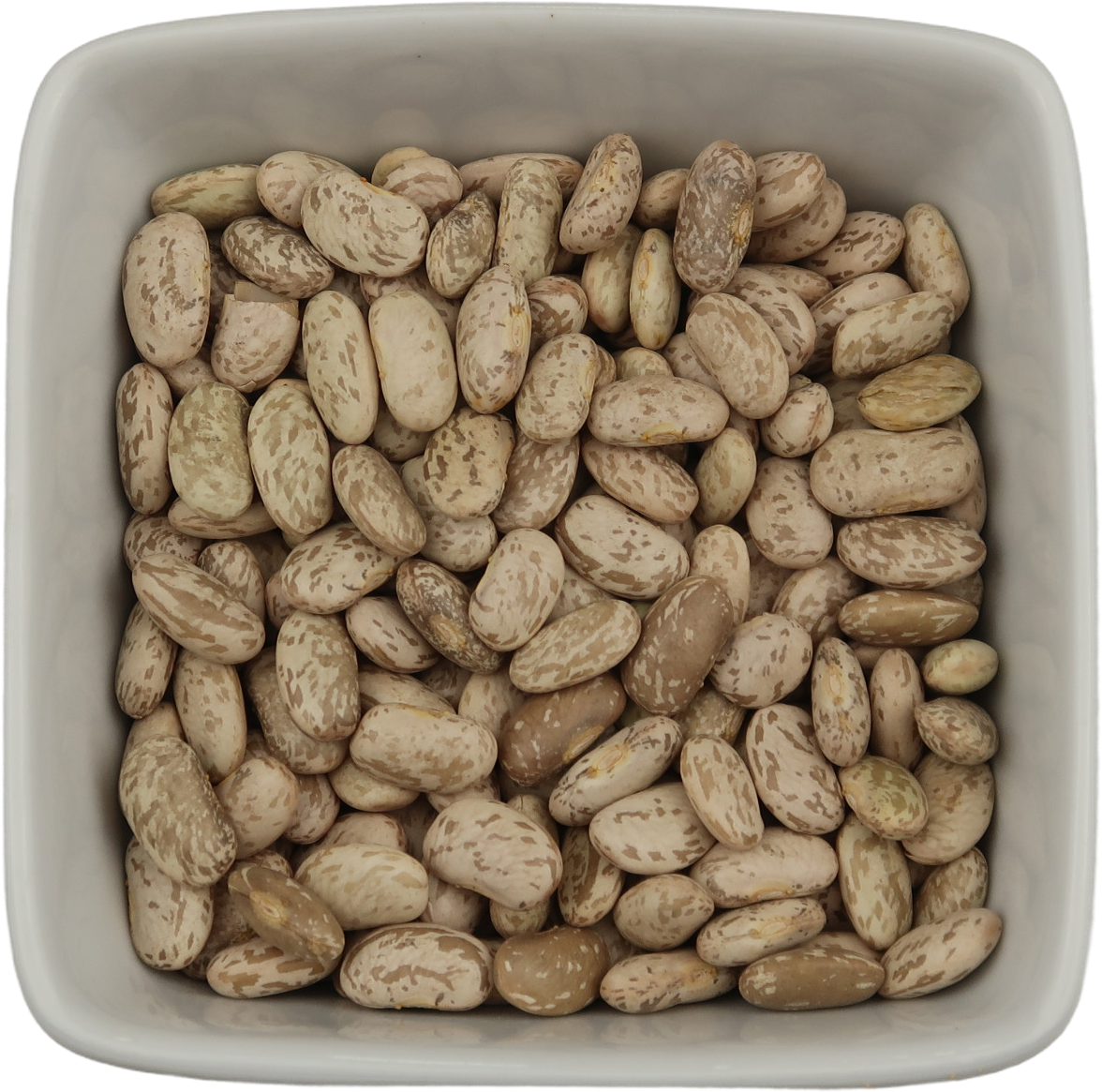 Pinto Beans - Phaseolus Vulgaris