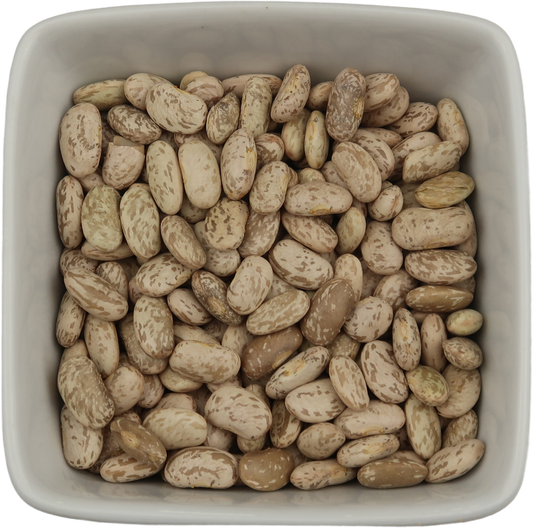 Pinto Beans - Phaseolus Vulgaris