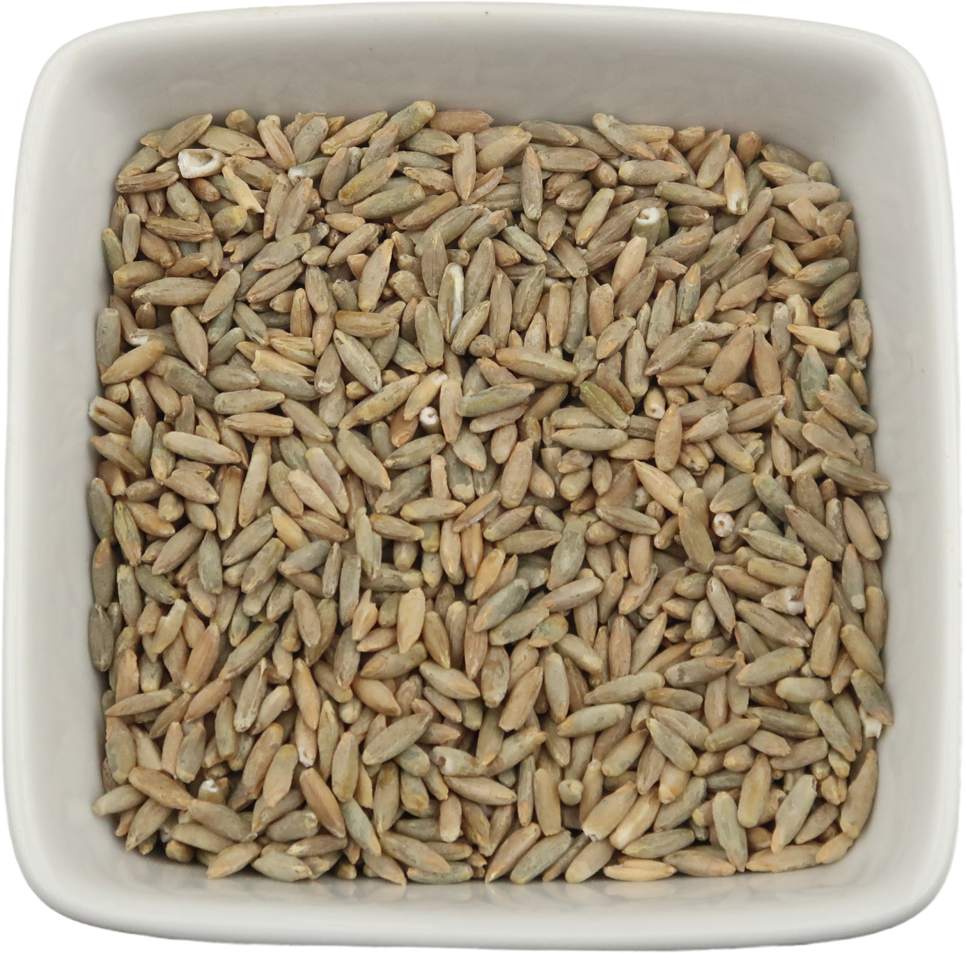 Organic Rye Berries, Whole Wheat Grain (Secale cereale L.)