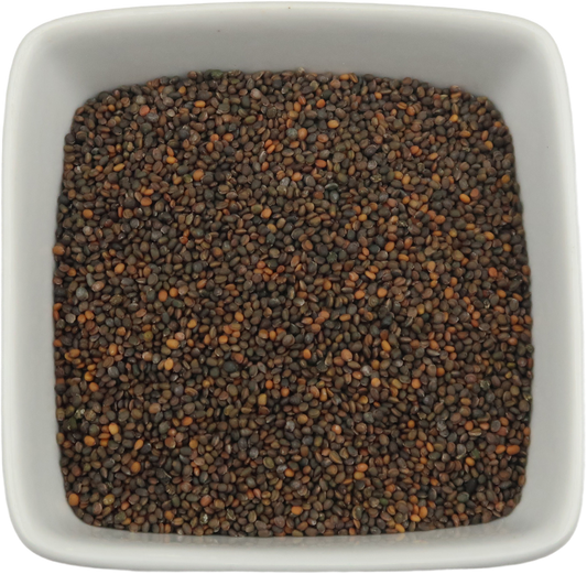 Arugula Sprouting Seeds - Eruca Vesicaria
