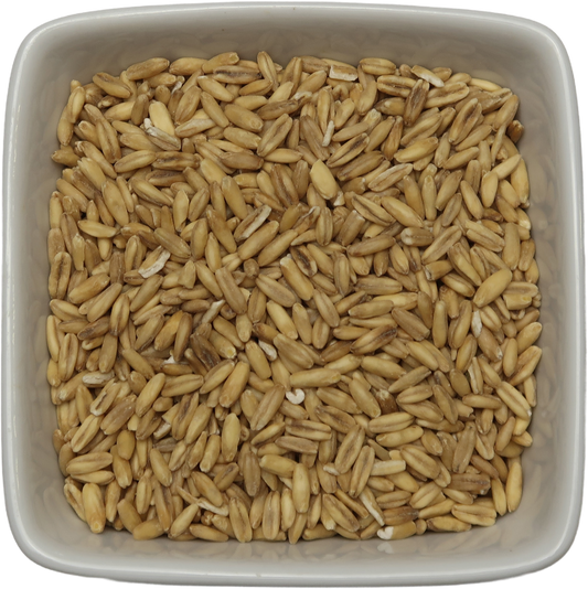 Grain Oat Groats - Avena Sativa