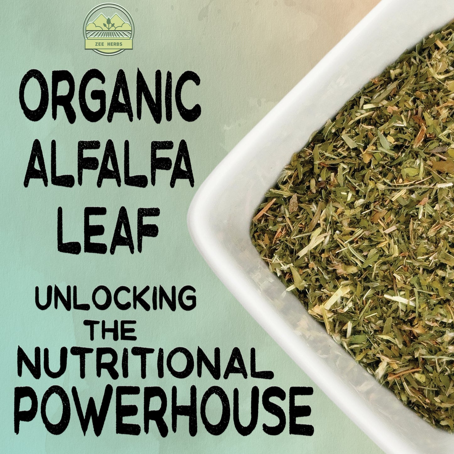 Alfalfa Leaf - Medicago Sativa