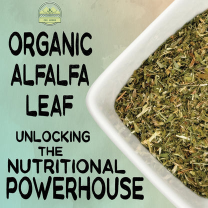 Alfalfa Leaf - Medicago Sativa