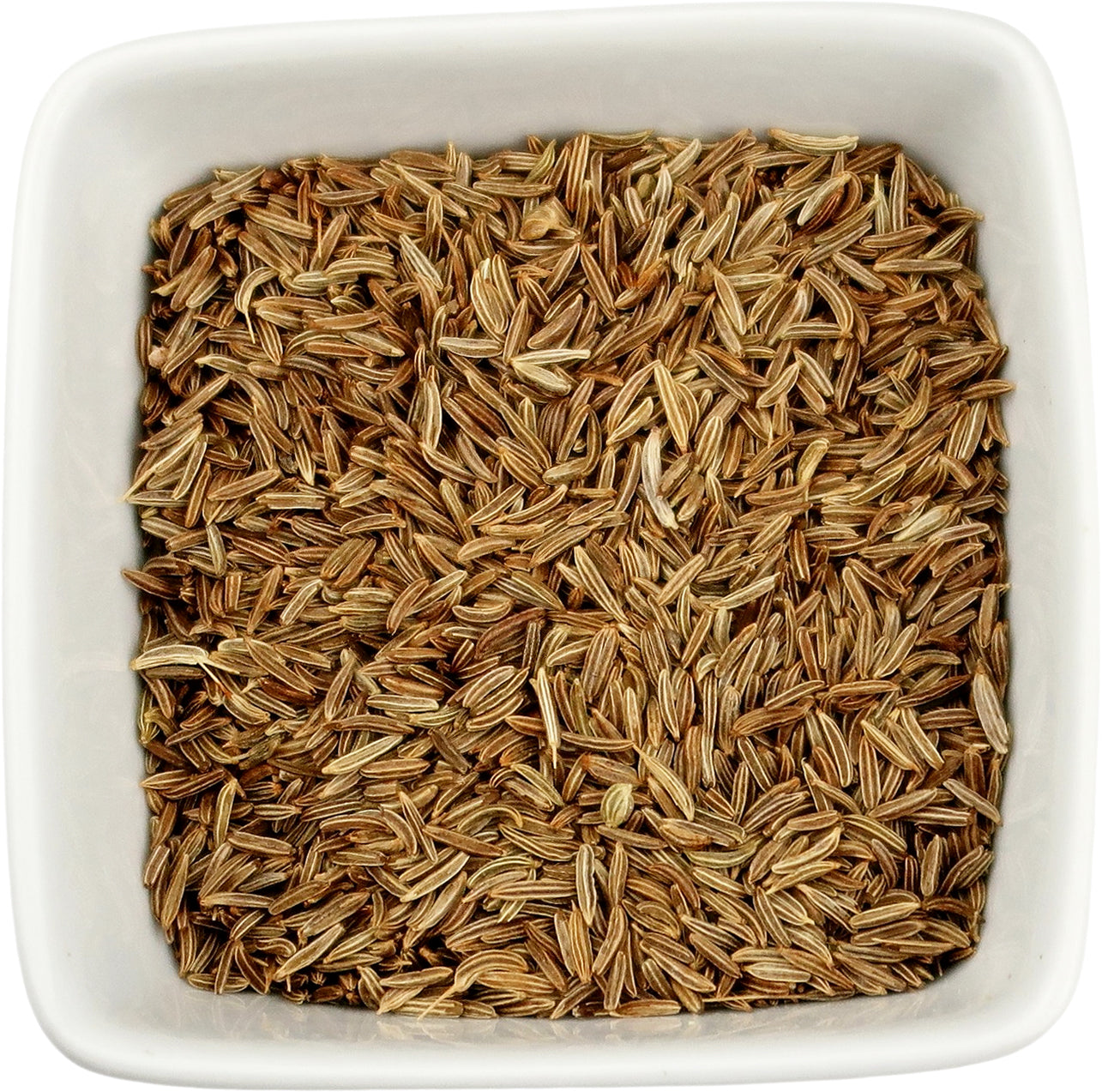 Caraway Seed - Carum carvi